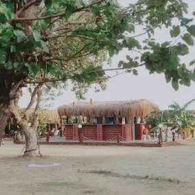 Okeanos Beach Bungalow - Image 3