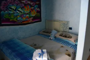 B&B Country - Image 3