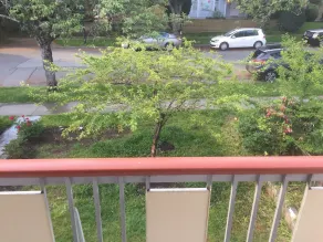 Old Old Plum Tree Style Suite - Image 3
