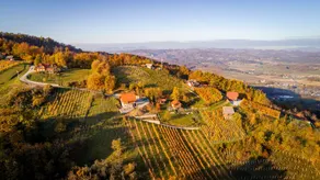 Vineyard Cottage Bregac - Image 4