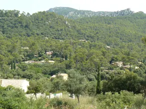 La Maison D'en Haut - Image 3
