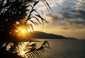 Palm Beach Hotel Sudkreta - Image 3