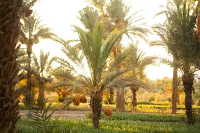Charming house with pool in Zagora - Image 3