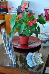 Oceana Palms Luxury Guest House - Image 4