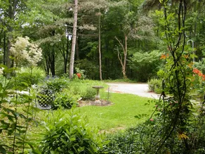 Self Realization Meditation Healing Centre - Image 3