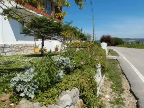 Liquid Surf House - Image 5