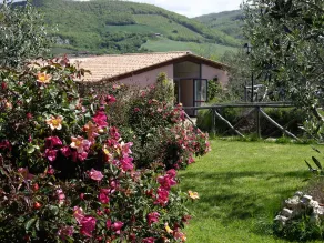 Country House Pro Vobis - Image 2