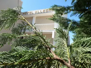 Hotel Allegro - Image 5