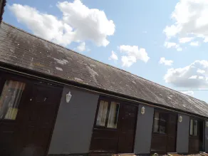 The Stag - Image 4