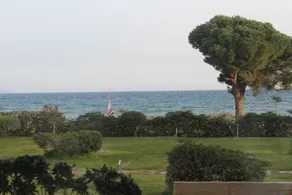 Beach House Hoopoe - Image 4