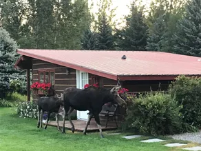 Teton View Bed & Breakfast - Image 4