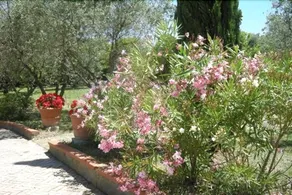 Casa Vacanze Vigna Lontana - Image 3