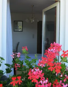 Pension Krinserhof - Image 3