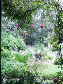 Self Realization Meditation Healing Centre - Image 5