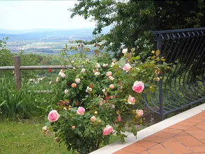 Relais San Desiderio ai Biagioni - Image 3