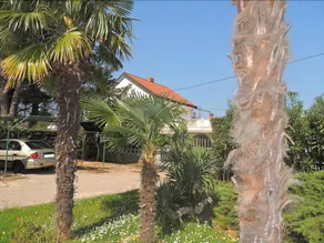 Apartments Mirko - Image 4