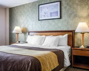 Comfort Inn Brooklyn New York City - Image 4