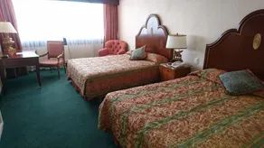 Palacio del Sol Hotel - Image 4