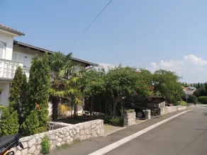 Apartments Dragica - Image 5
