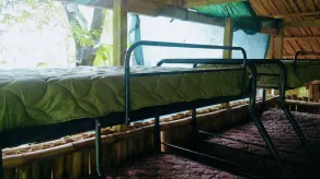 Freedom Jungle - Image 4