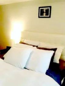 Pelican Suites At Fly Condos - Image 3