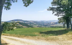 Beautiful Apartment in Villagrande di Monteco With 2 Bedrooms - Image 3