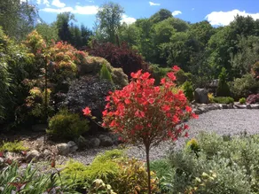 Thistle Haugh, the Peaceful House With a hot tub - Image 3