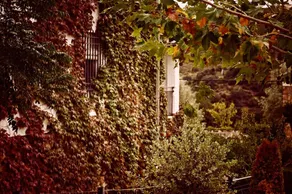 House With 4 Bedrooms in Ciudad Real, With Wonderful Mountain View, Pr - Image 5