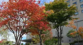 Hotel City Plaza Kitakami - Image 5