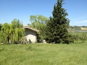 Finca Naranja - Image 4