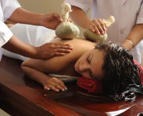 NaturOville Vedic Retreat - Image 4