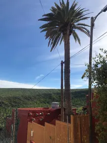 Studio in Balcon de Telde, With Wonderful sea View, Enclosed Garden and Wifi - Image 4