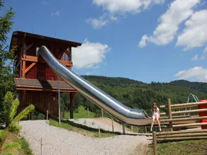 Cozy Chalet With Dishwasher, in the High Vosges - Image 3