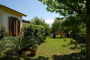 La Noria - Image 4