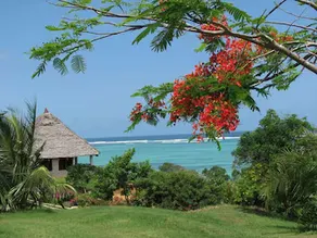 Tijara Beach - Image 5