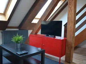 Homely-touch - Image 4
