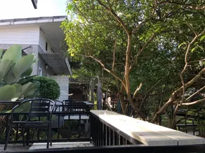 The Creek - Image 5