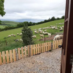 Eco Accommodation Cornflower Holiday - Image 2
