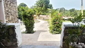 Villa Alfonsina - Image 4