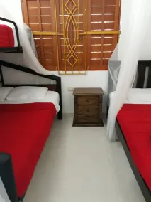 Hostal Coco Bomgo - Image 2