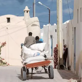 Dar Aziza - Image 4