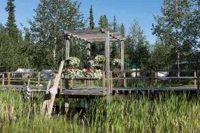 Discovery Yukon Lodging - Image 5
