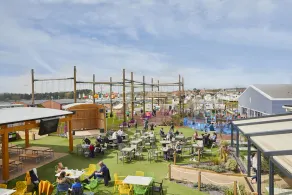 The Cove - Image 5