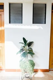 Hotel Refugio Ecologico Inn - Image 5