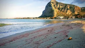 Casale Degli Ulivi - Image 3