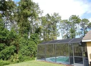 Tree Top Retreat - Image 4
