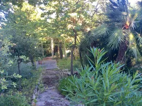 Casa Laura - Image 5