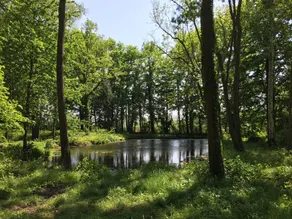 Le Domaine De La Cote Aux Chats - Image 4