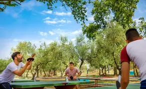 Istrian Premium Village Holiday Homes - Image 4