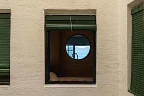 Coral - Image 3
